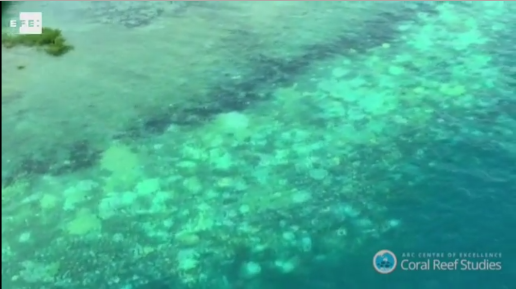 La salud de la Gran Barrera de Coral