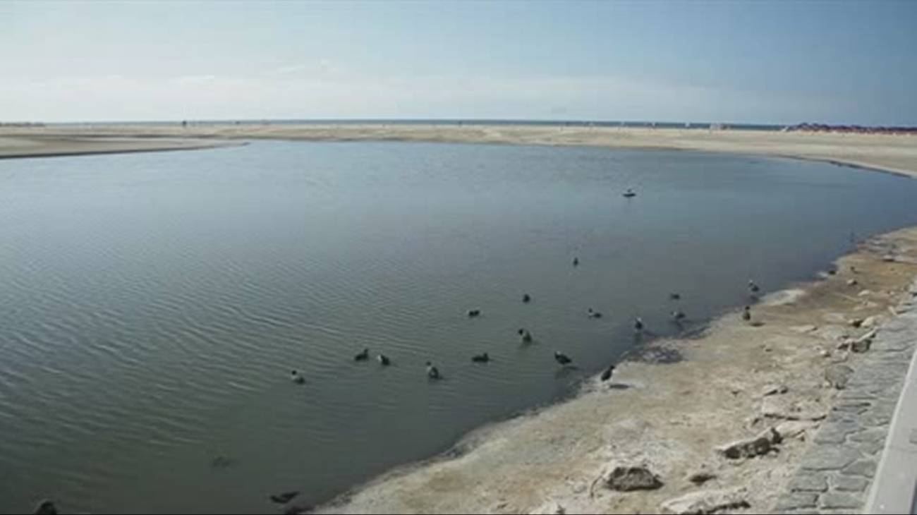 Laguna de Maspalomas