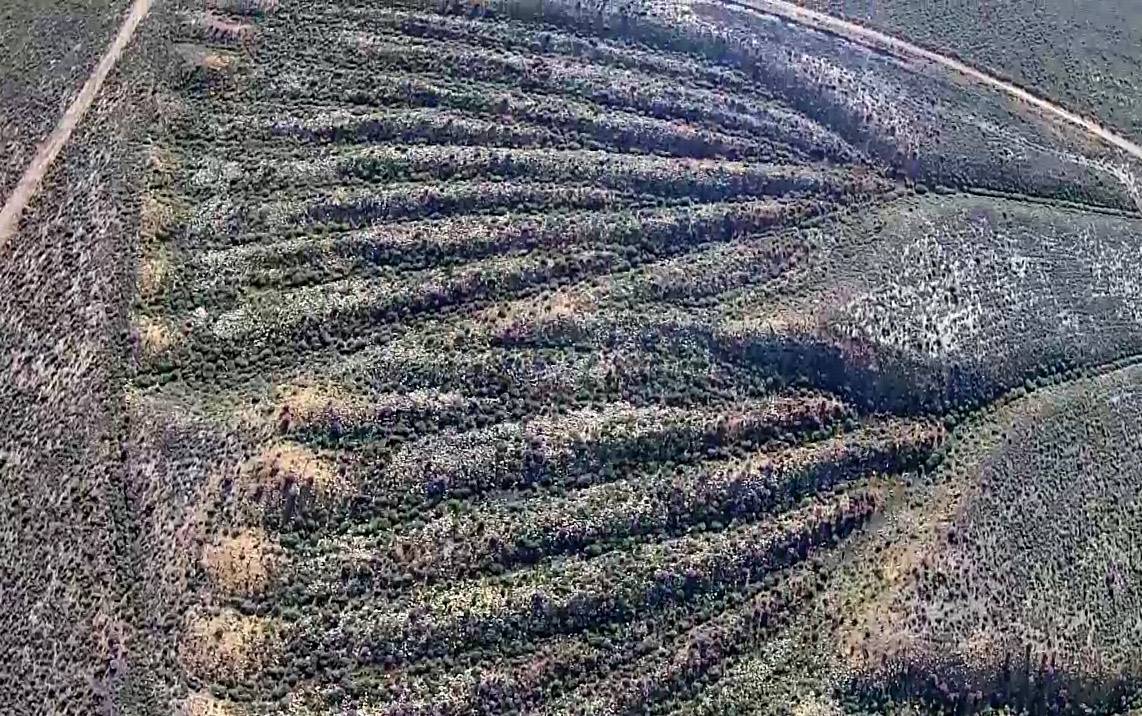 Láser y drones desvelan los secretos