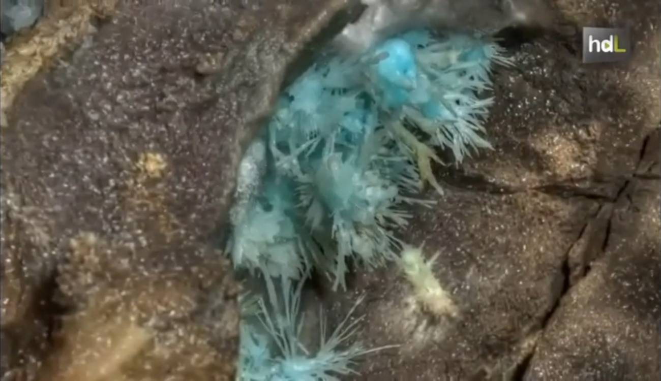 Lo que el ojo no ve de la Gruta de las Maravillas de Huelva