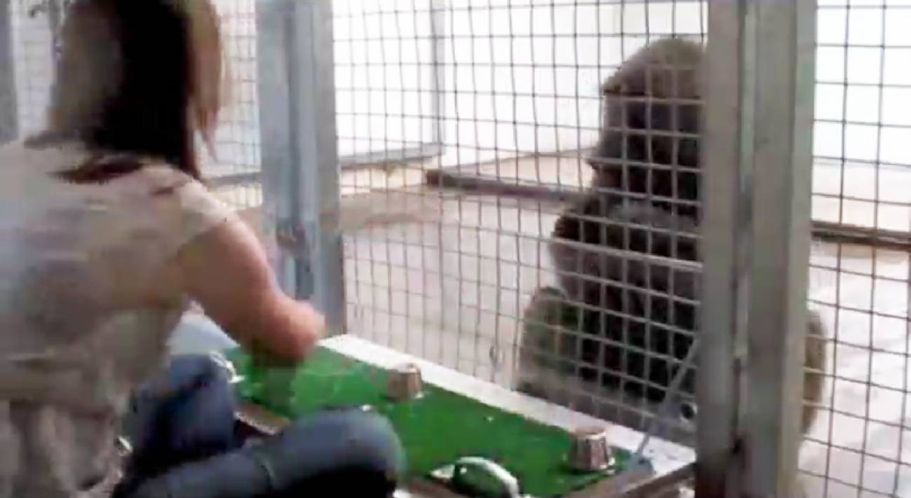 Estudio de la Universidad de Duke