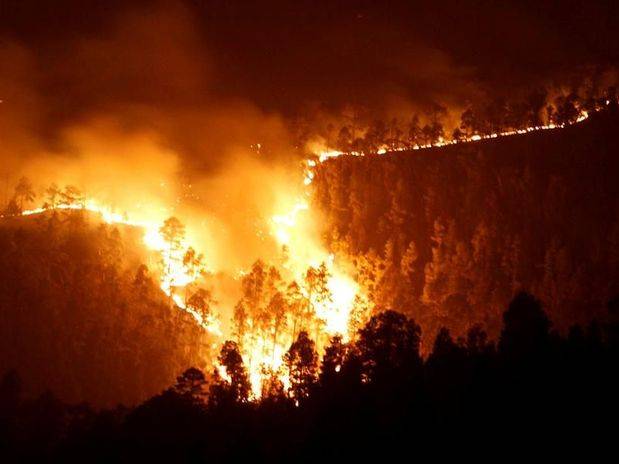 Los incendios de La Palma y Tenerife tienden a estabilizarse