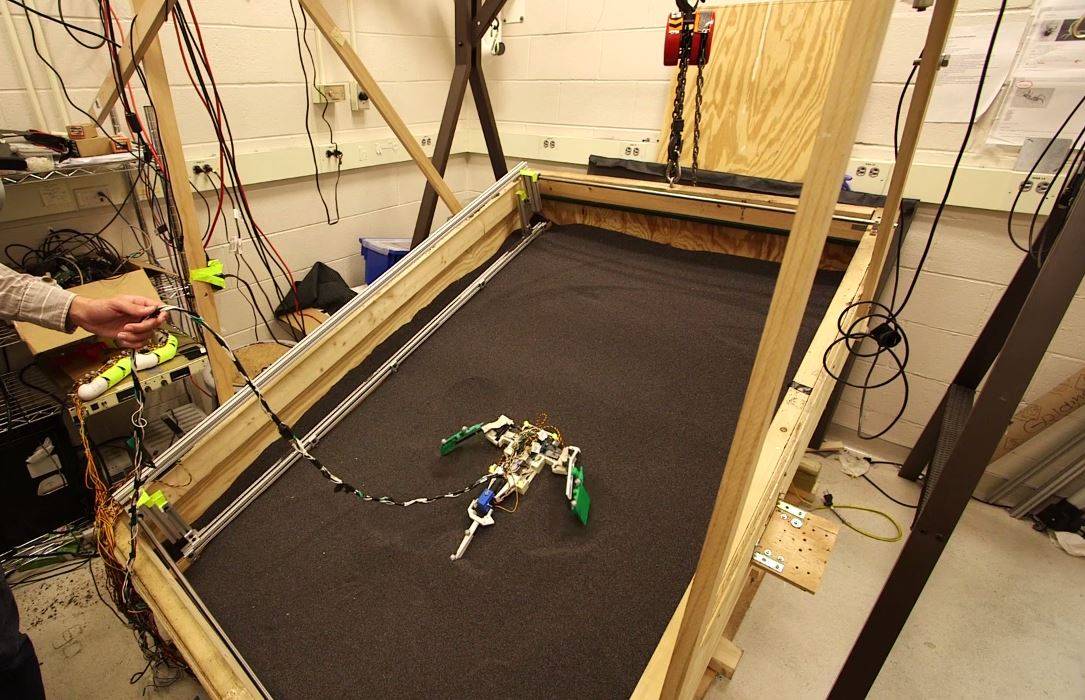 El robot imita a los primeros animales terrestres. / Georgia Tech