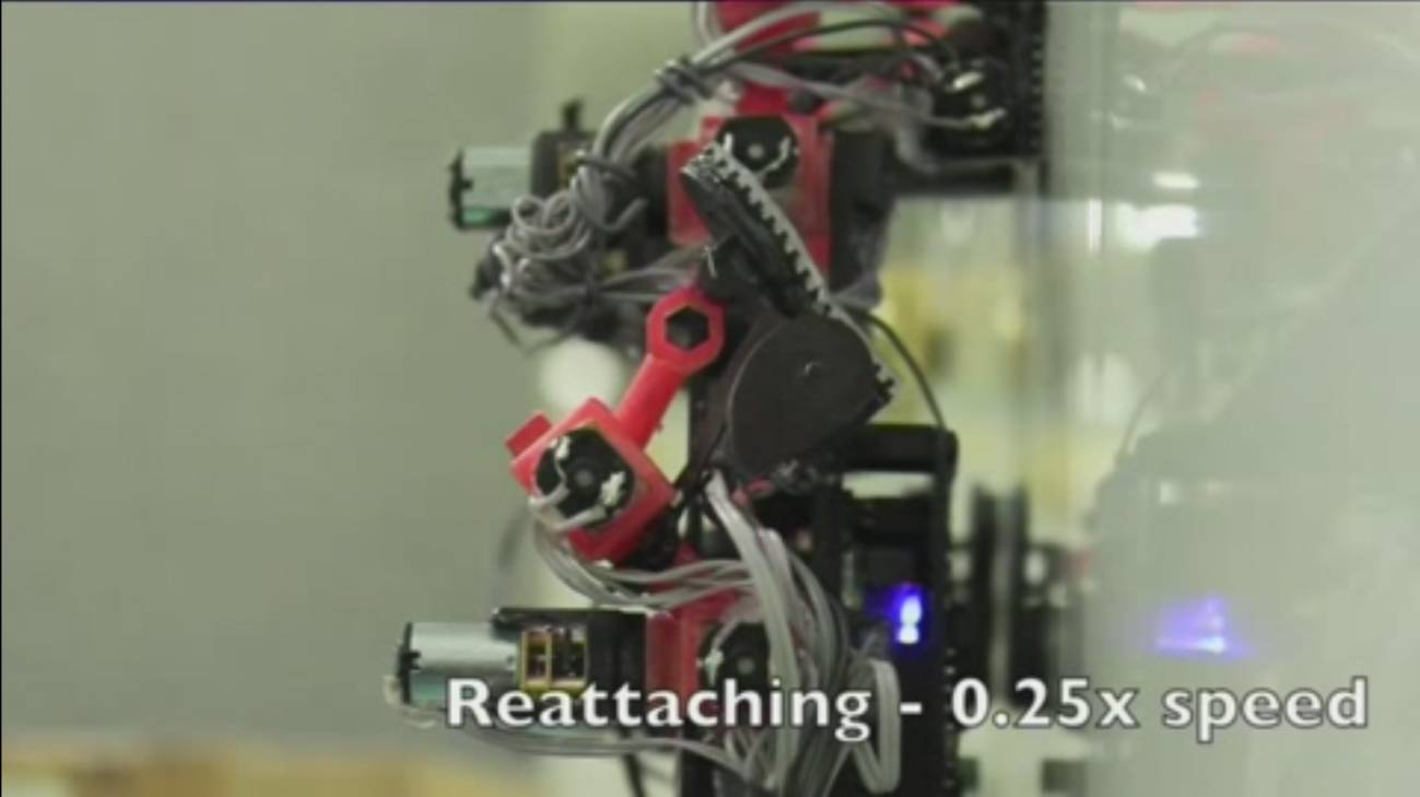 Los robots trepadores.