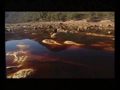 Luces, cámara... y ¡ciencia! 