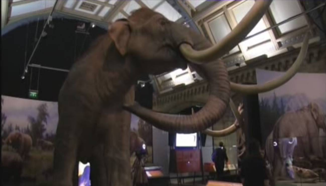 Muestra de mamuts en Londres.