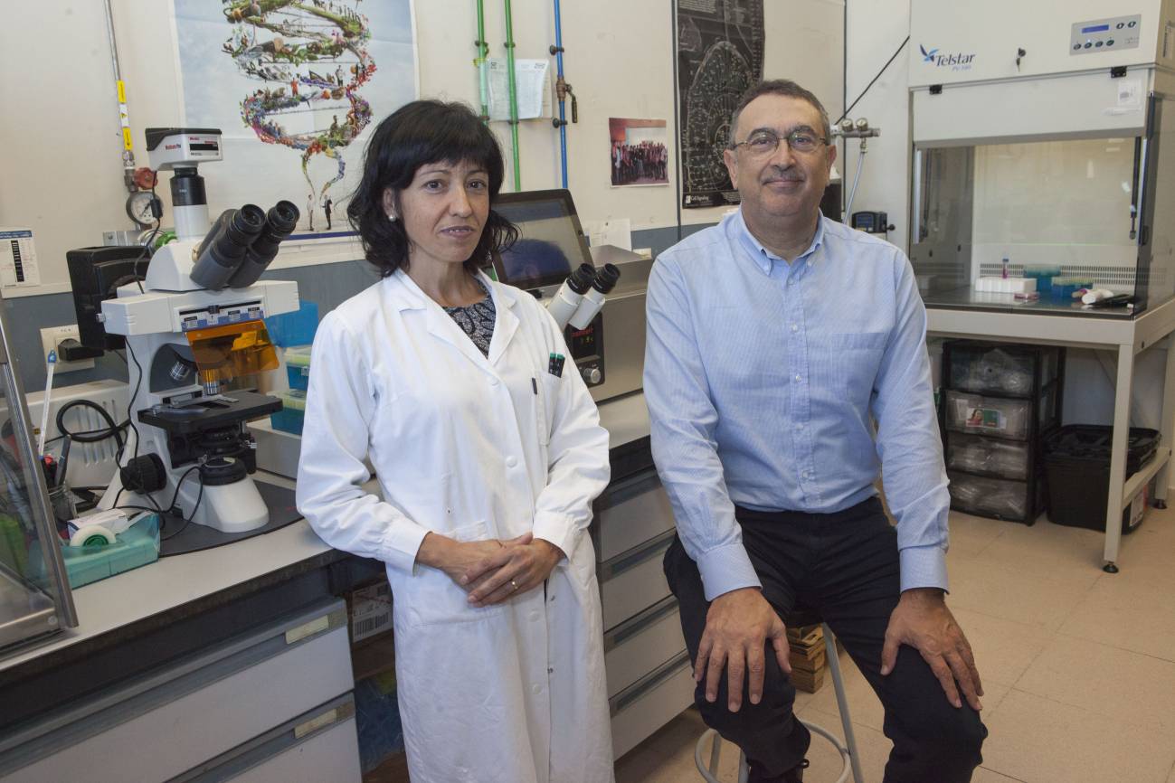 Investigadores del Grupo de Síntesis Orgánica de la UJI