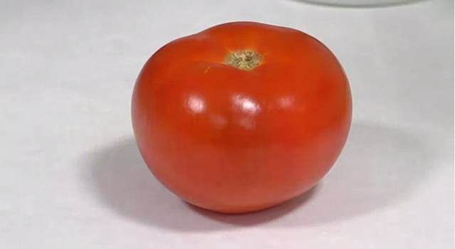 Obtienen plástico biodegradable a partir de la piel del tomate 