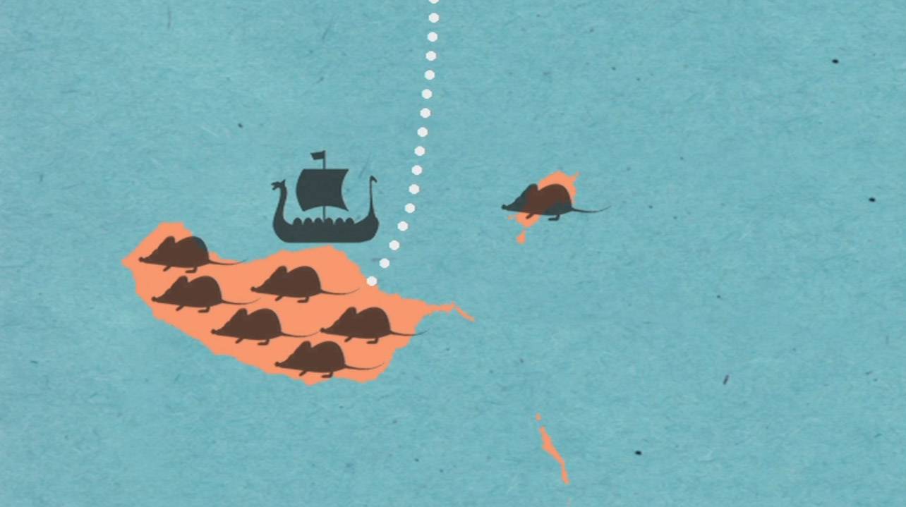 Infografía de colonización de Madeira