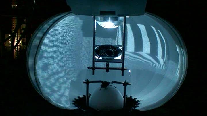 Realidad virtual para estudiar el cerebro