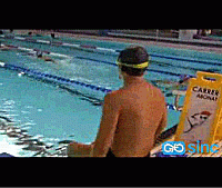 La solución pasa por mantener limpias las piscinas