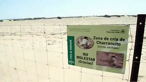 'Reservados' para aves costeras