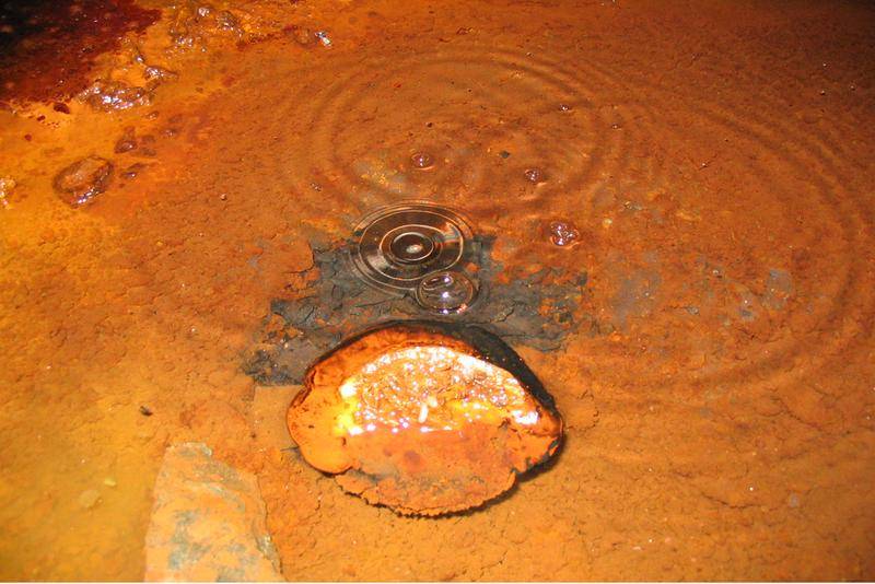 Un antiguo oasis sobrevive bajo tierra durante 
