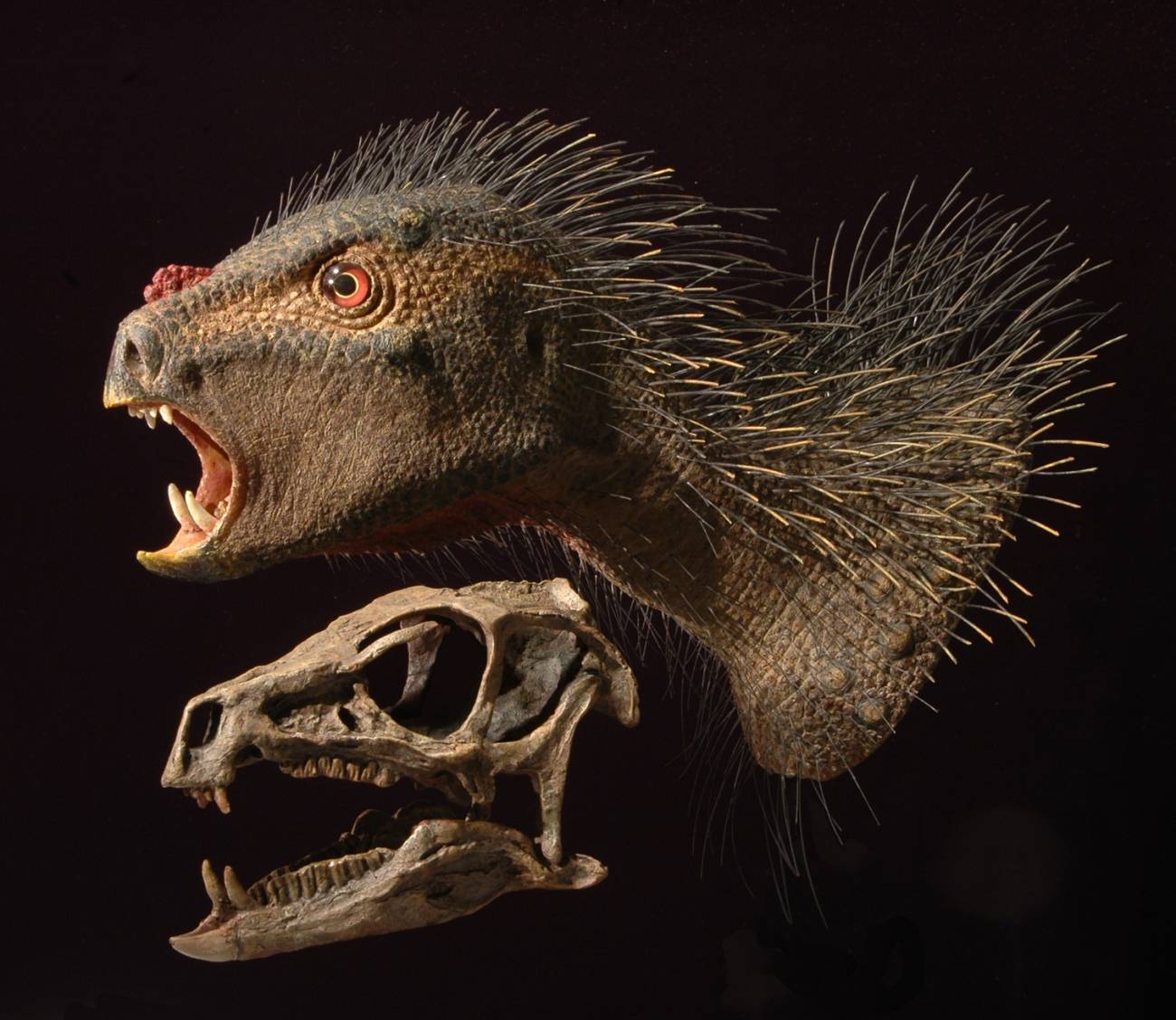 Un dinosaurio con cara de loro y cerdas de puercoespín