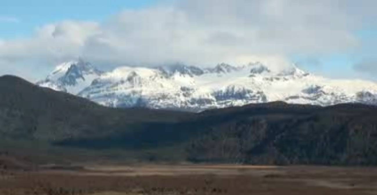 Un millón de árboles para ayudar a reforestar la Patagonia chilena 