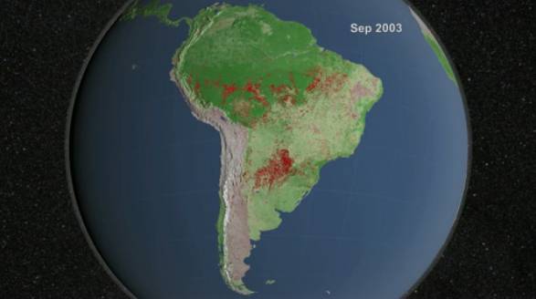 Un nuevo método podría predecir los incendios en el Amazonas 