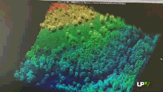 Software de gestión de los bosques