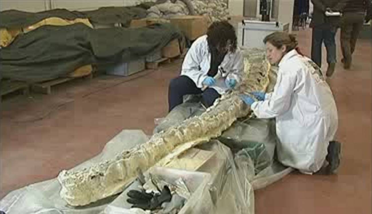 Restos encontrados Hueco