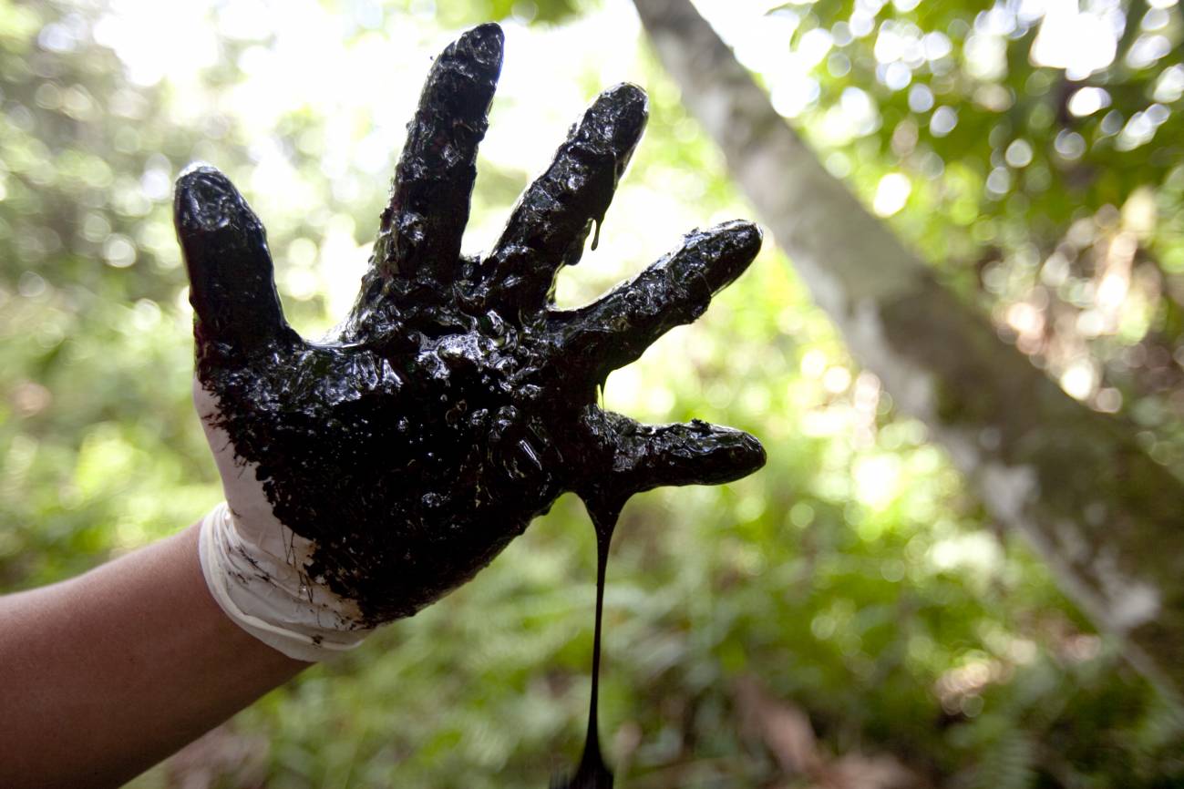 Crédito: Rainforest_Action_Networks