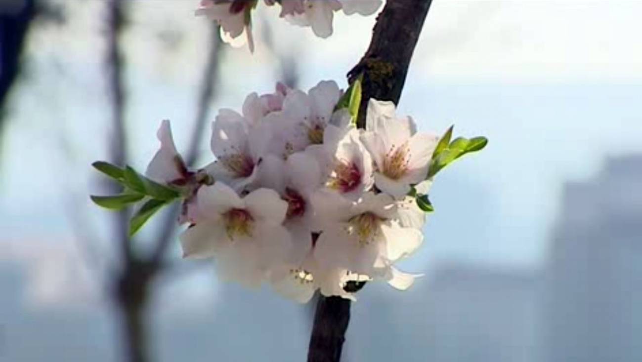 Una primavera más cálida para la mitad este del país 