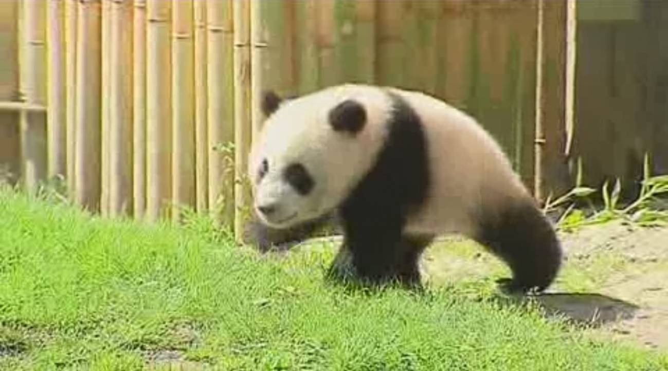 Xing Bao estrena zona de juegos