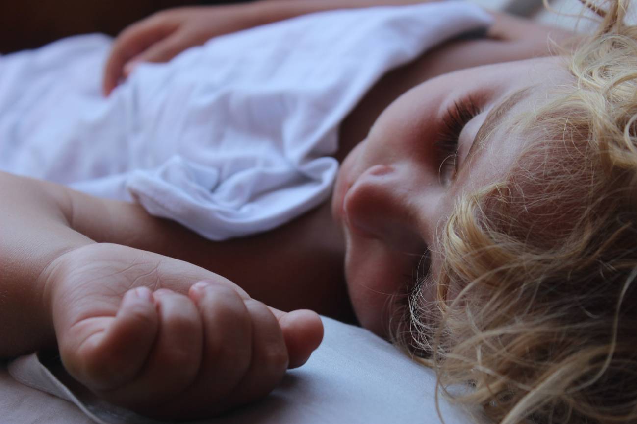 The brain puts the memories warehouse in order while we sleep