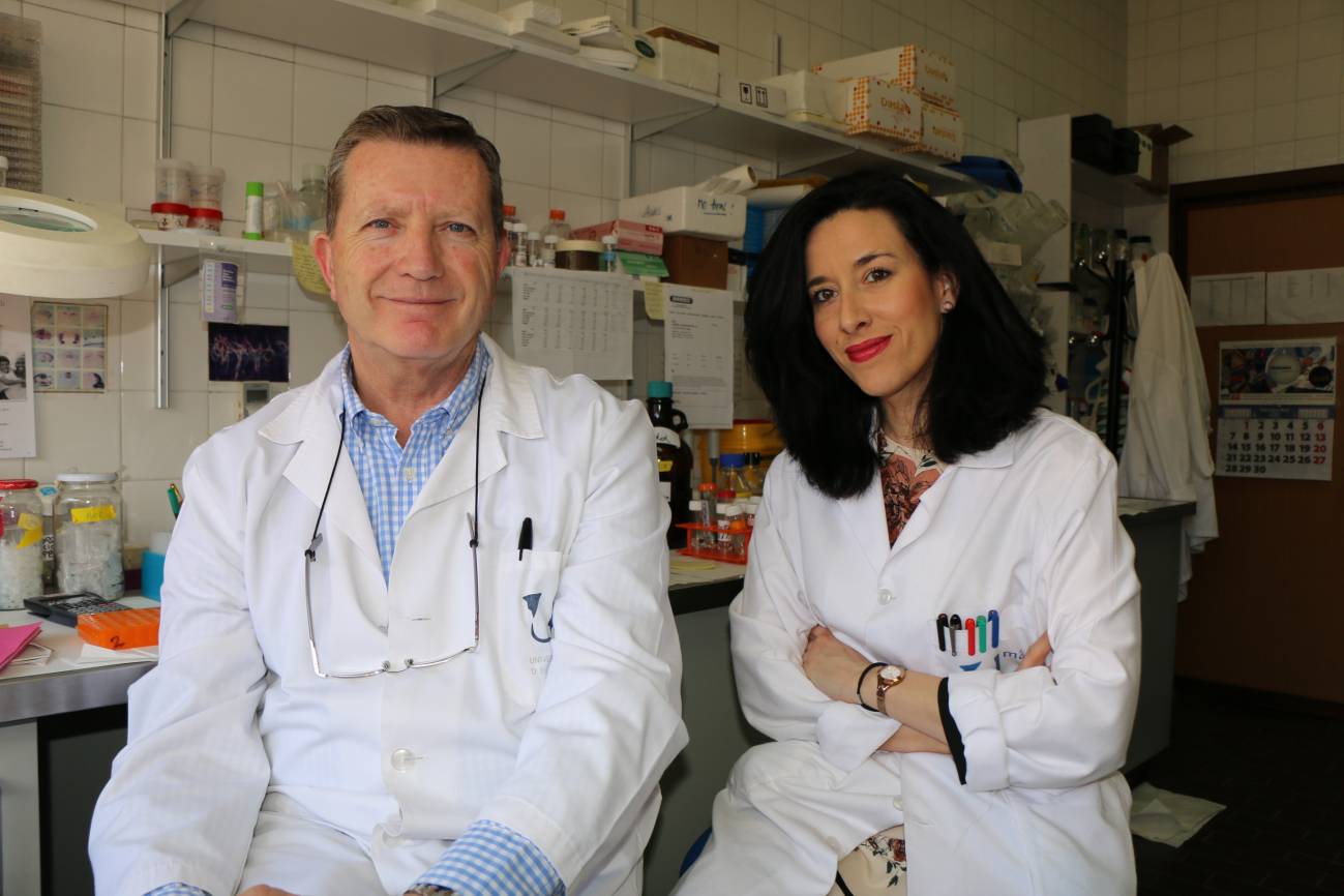 A la búsqueda de soportes físicos para su uso en medicina regenerativa