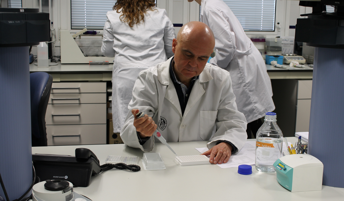 Actividad antitumoral de un fitoestrógeno presente en aceites de oliva vírgenes