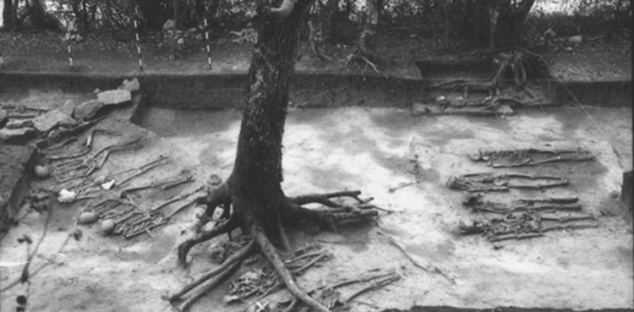 ADN antiguo: reconstrucción de la historia biológica de la necrópolis de Aldaieta