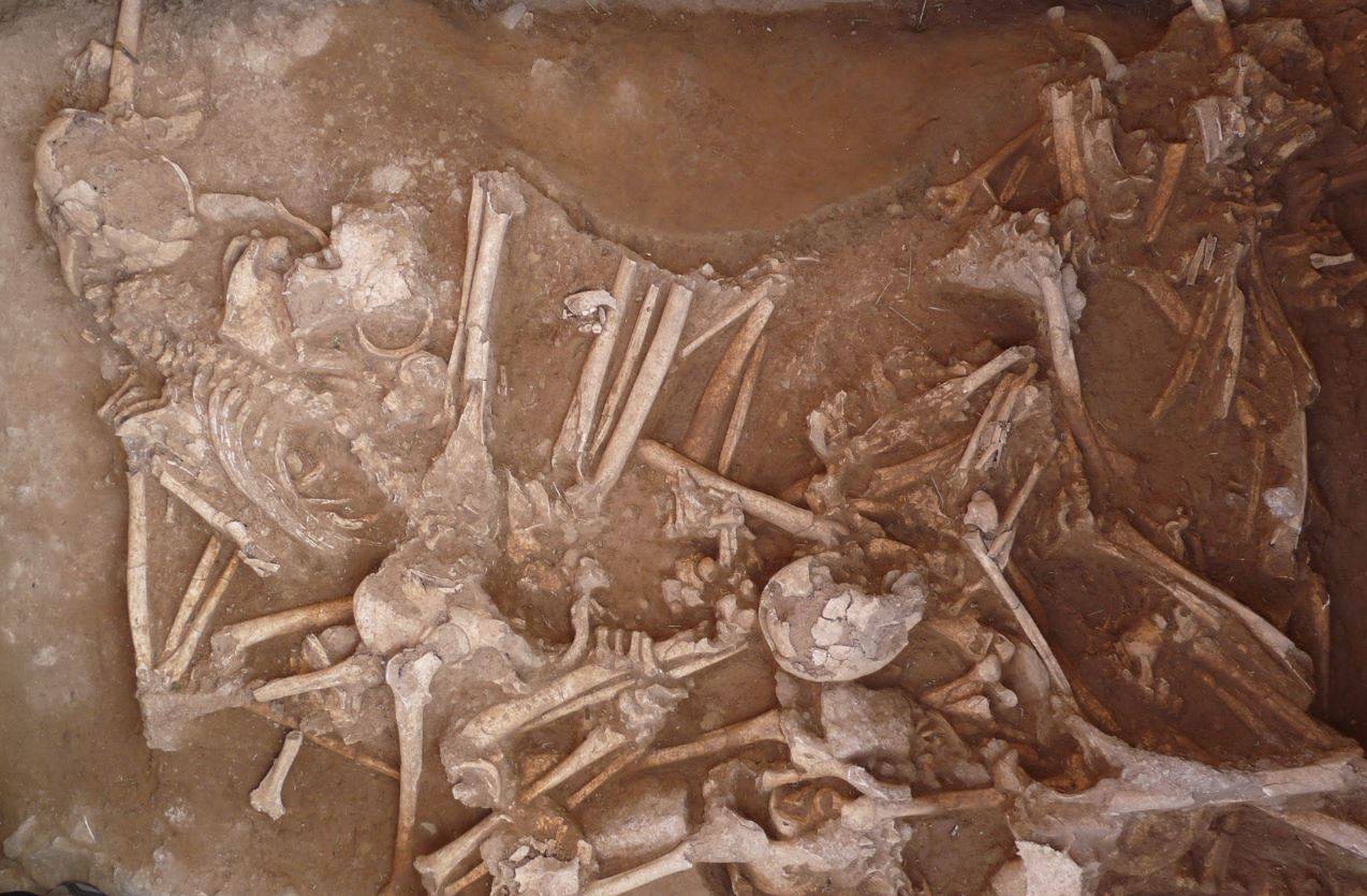 Agricultores y cazadores se mezclaron en Europa durante 3.000 años
