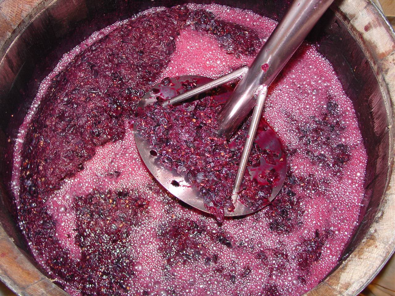 Algunos componentes del vino pueden mejorar el tratamiento de úlceras y gastritis