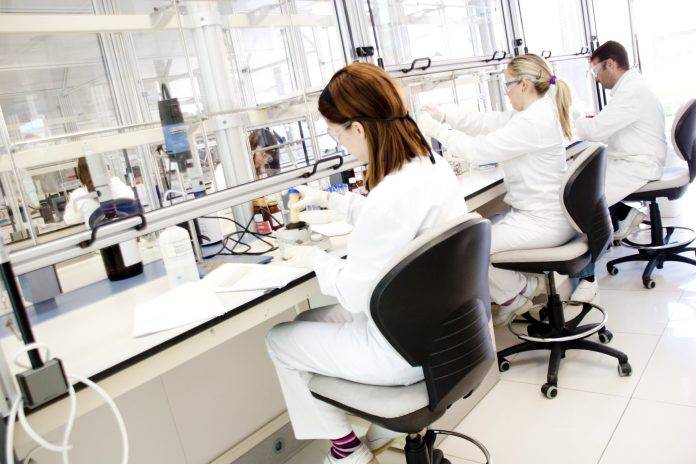 El objetivo del proyecto Bigfood es anticiparse a potenciales alertas alimentarias y riesgos emergentes