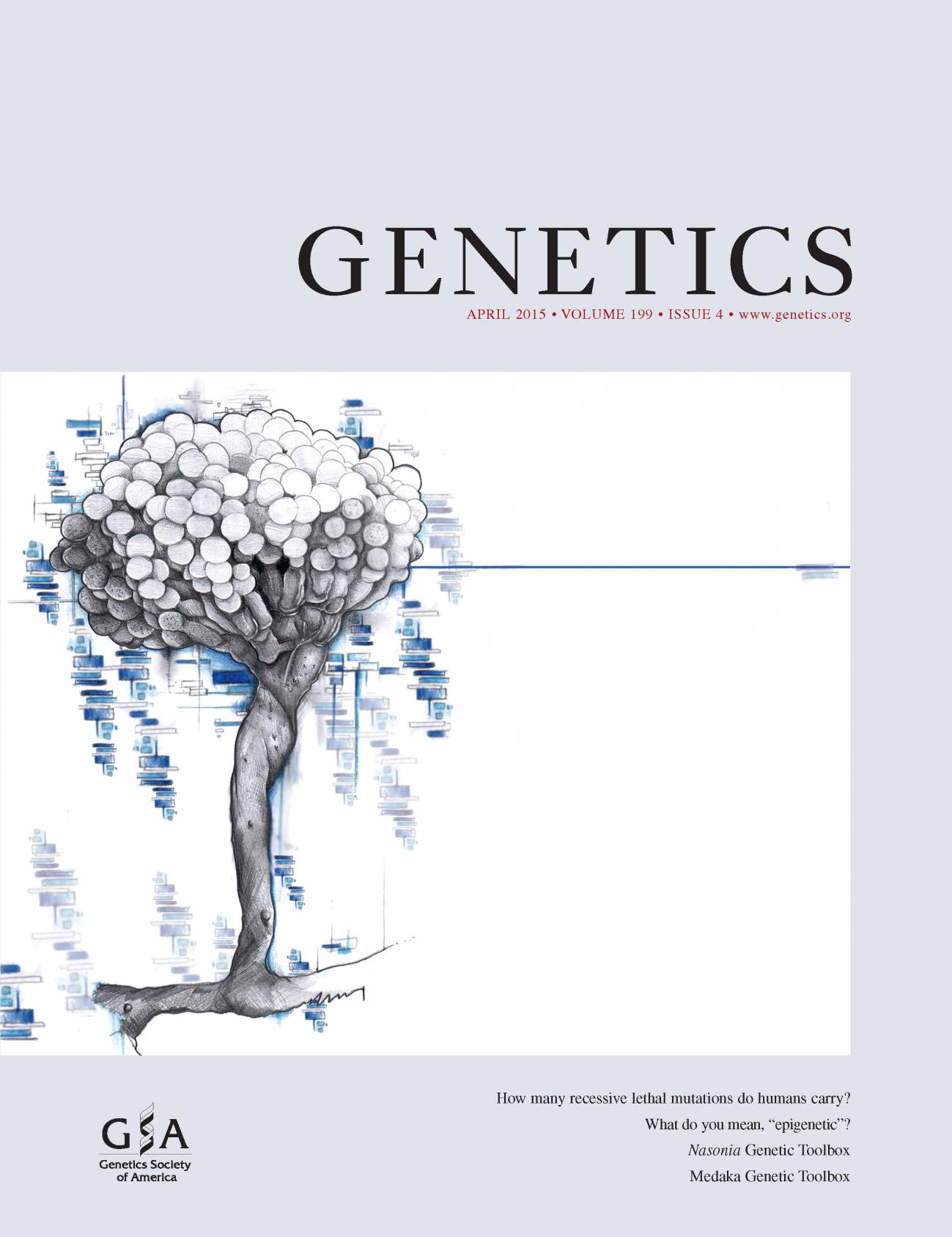 Arte urbano y ciencia de un hongo, portada de la revista ‘Genetics’