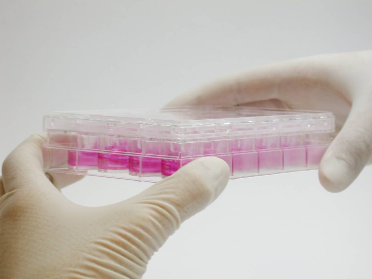 ASEBIO busca oportunidades para el sector biotecnológico español en Latinoamérica