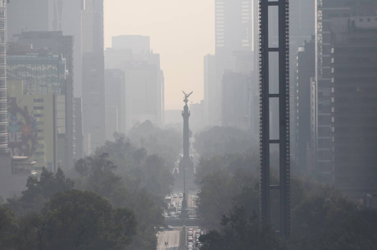 Así afecta la contaminación a la formación de los órganos en el útero