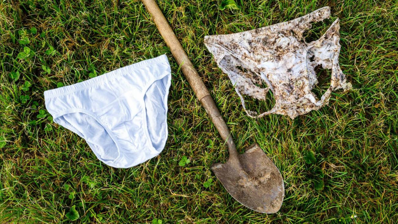 Así es cómo la ropa interior revela la salud y calidad del suelo