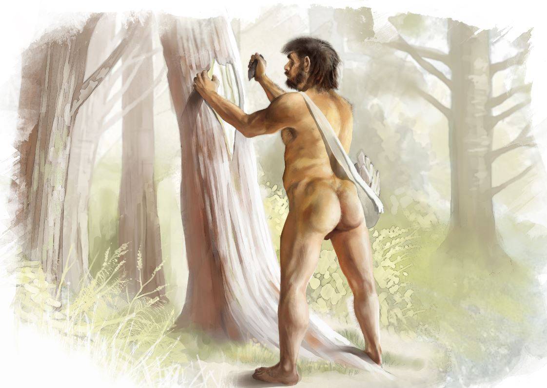 Así fue la historia genética de los últimos neandertales