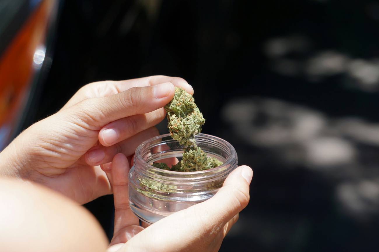Asocian el consumo frecuente de cannabis con el empeoramiento de la epilepsia