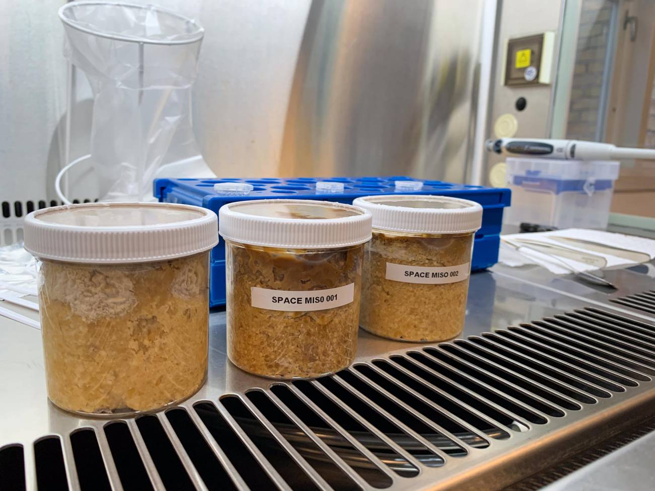 Miso fermentado en el espacio