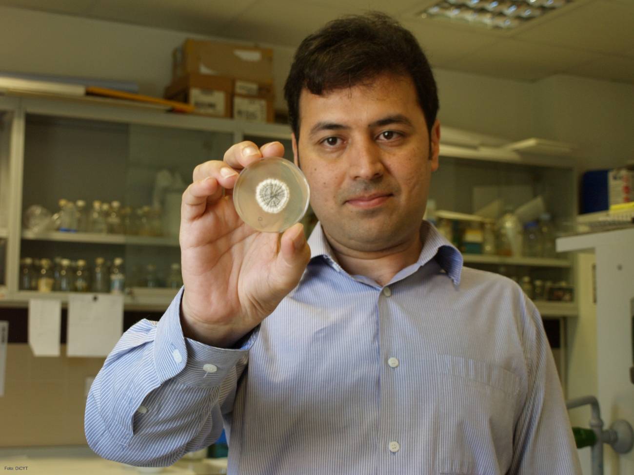 Caracterizan el proteoma del principal hongo productor de la penicilina