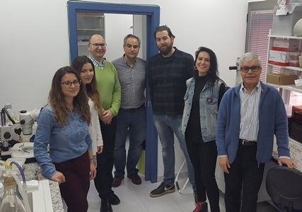 Células madre tumorales: aliadas del cáncer y enemigas del paciente