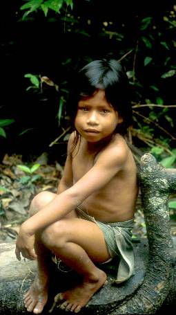 Científicos e indígenas del Amazonas se unen por el desarrollo sostenible