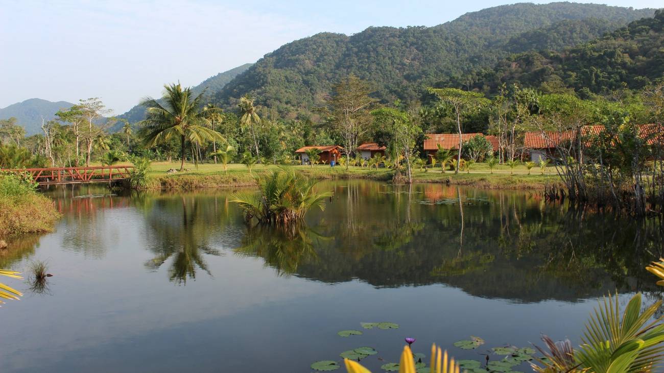 lago en zona selvática