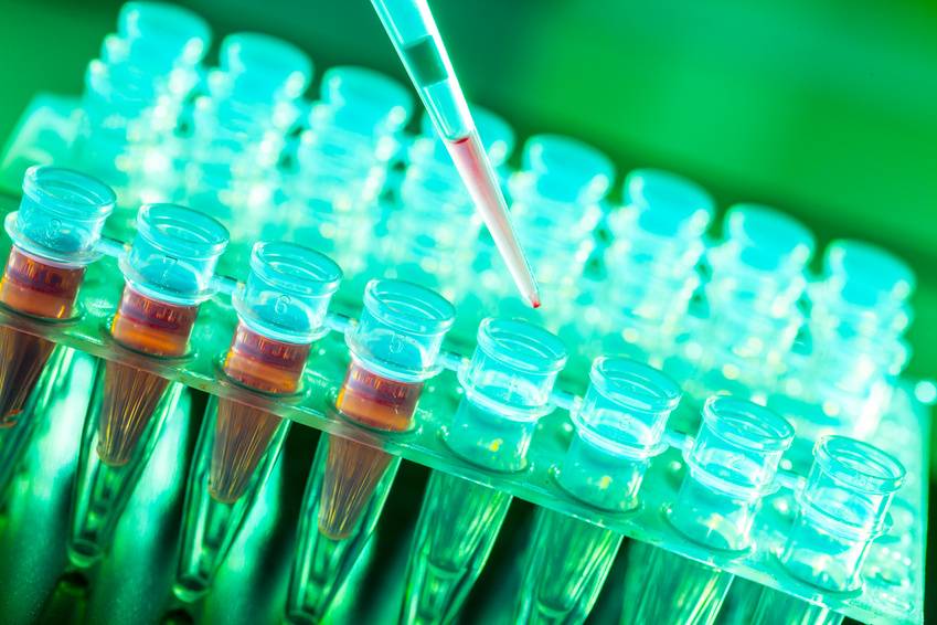 La posibilidad de hacer estudios genómicos a gran escala permite conocer en detalle el perfil molecular específico de los tumores . / UPF
