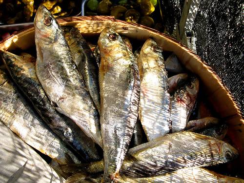 Comer pescado una vez a la semana mejora el rendimiento cognitivo en los adolescentes varones