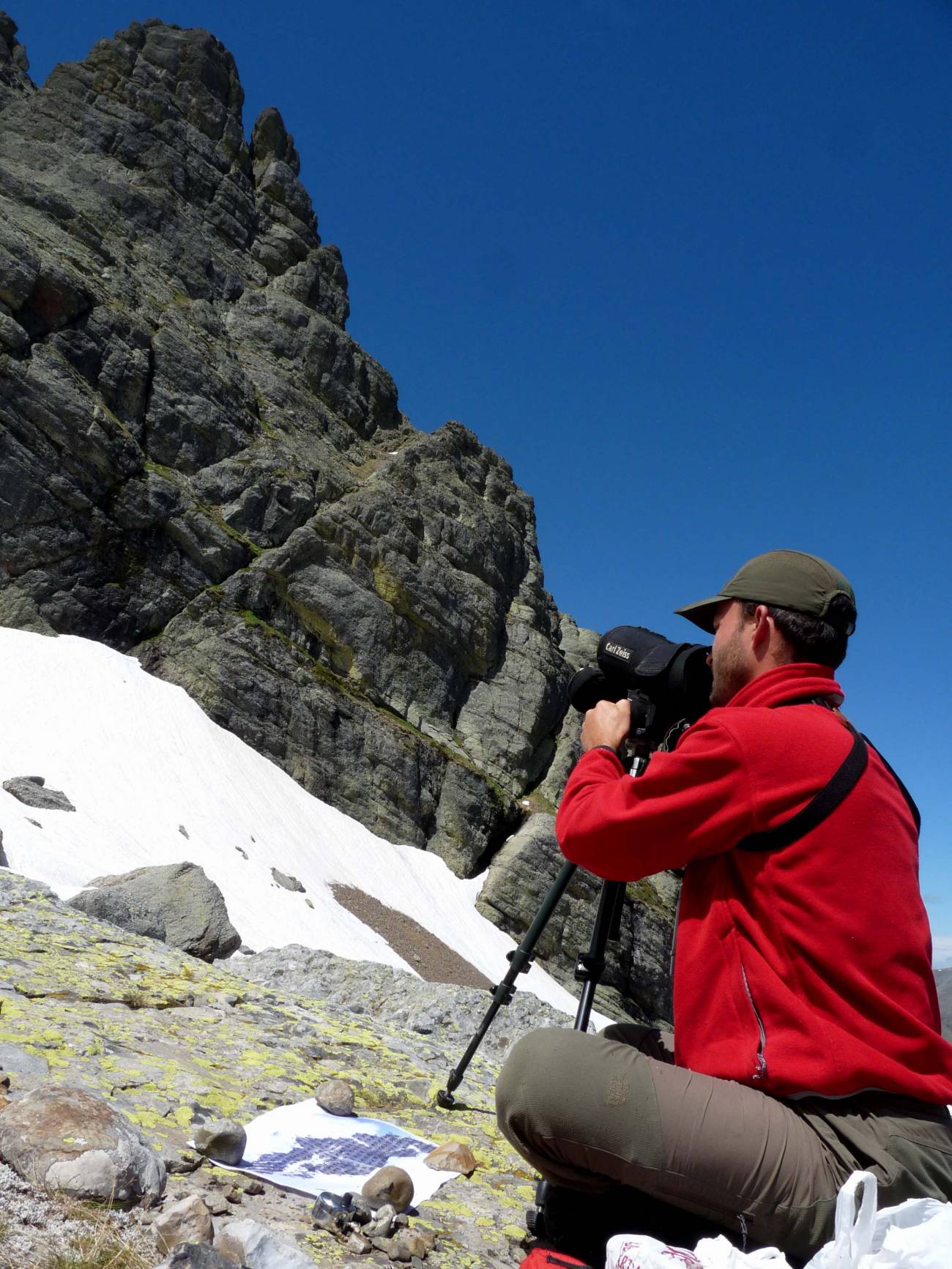 Investigadores de la Universidad de León lo han desarrollado ante las dificultades para seguir a una especie amenazada, Primula pedemontana, en la Montaña Palentina