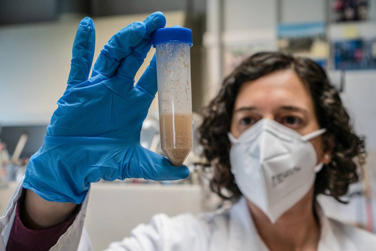 investigadora con un tubo de muestreo de gluten