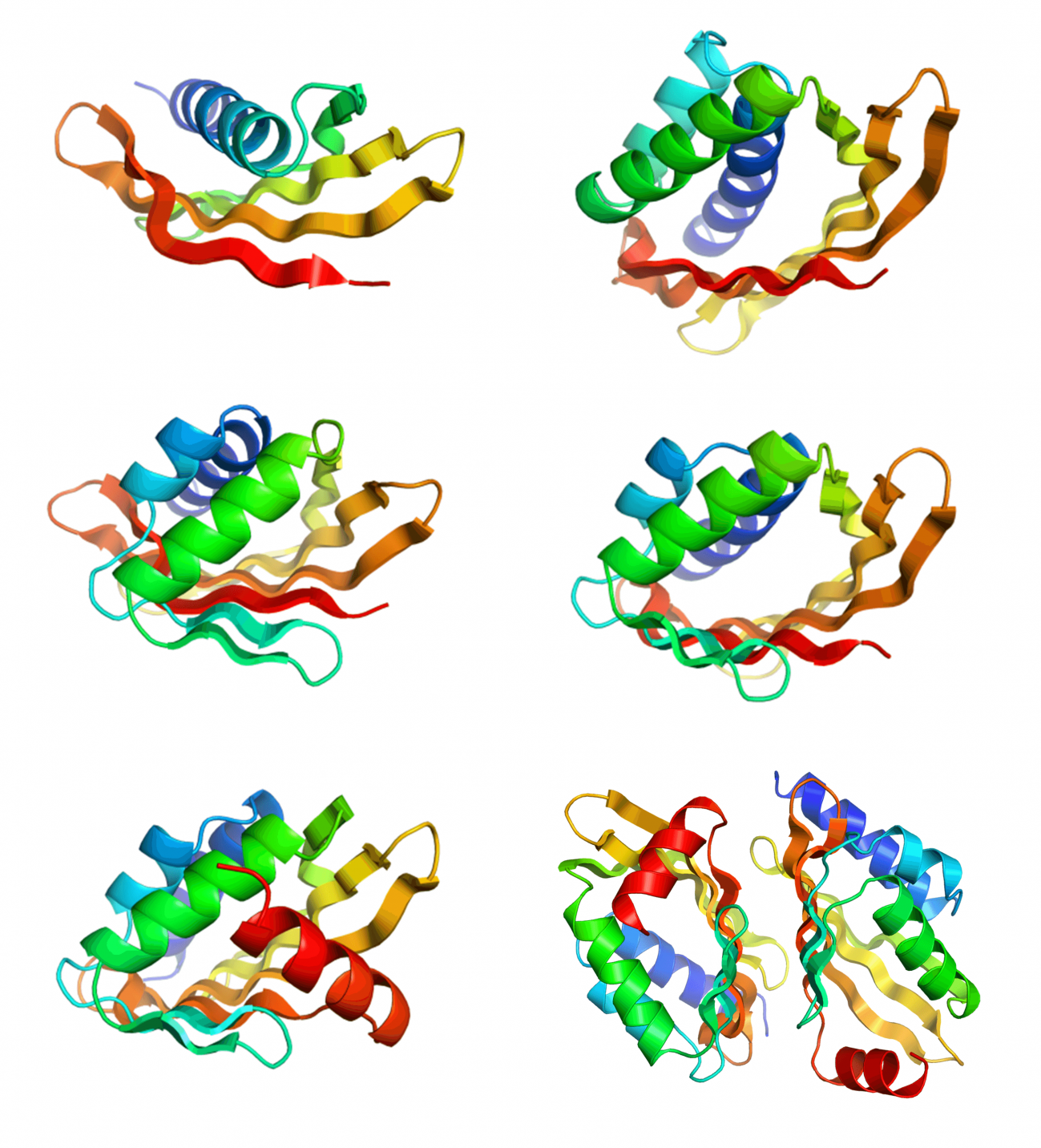 Cómo diseñar por ordenador proteínas artificiales para nuevas aplicaciones