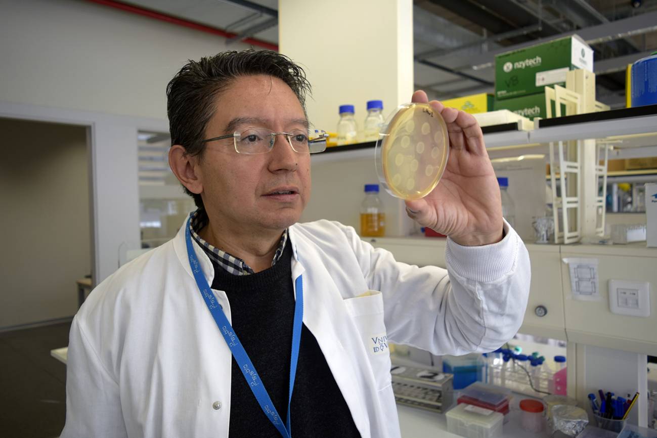 Cómo enseñar a ‘leer’ señales del código morse a bacterias
