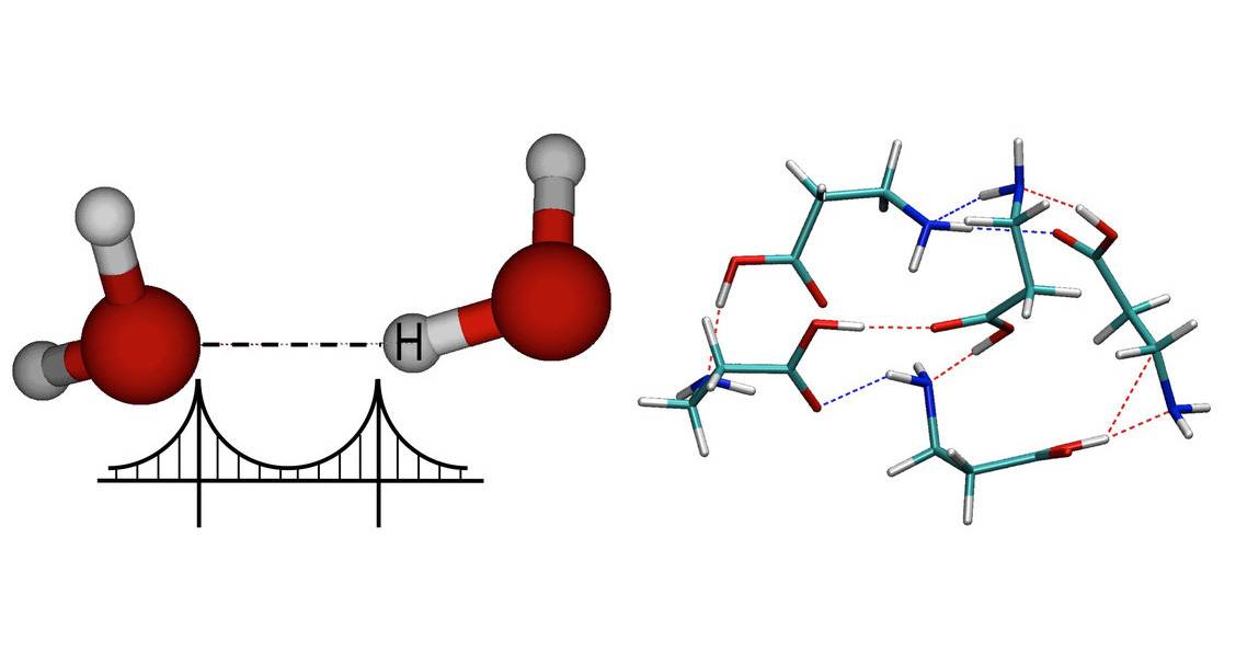 Cómo estabilizar grupos de aminoácidos con puentes de hidrógeno